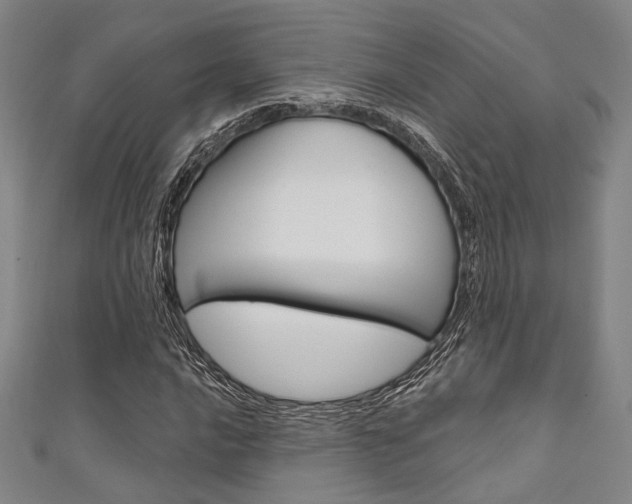 X0000111641016200907171034