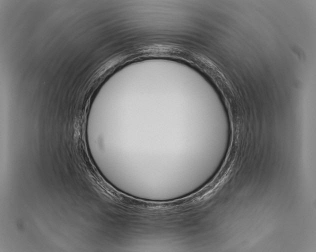 X0000111641017200907171034