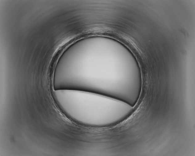 X0000111641018200907171034