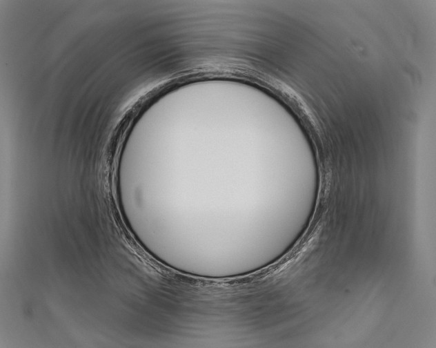 X0000111641019200907171034