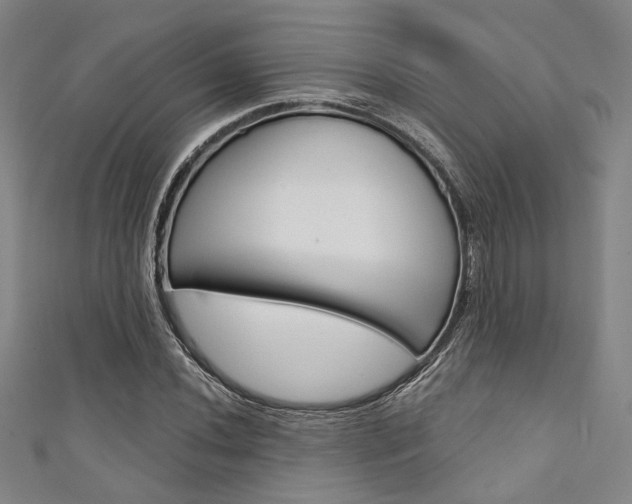 X0000111641020200907171034