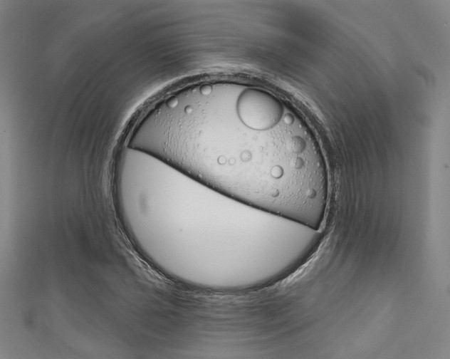 X0000111641021200907171034