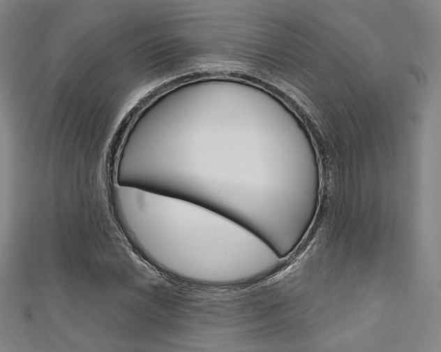 X0000111641022200907171034