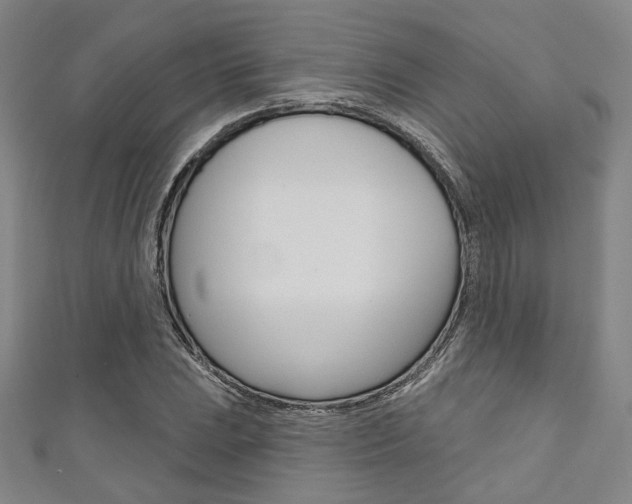 X0000111641023200907171034