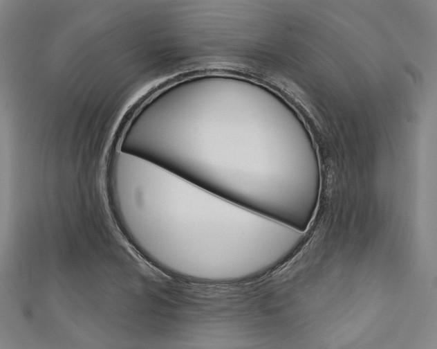 X0000111641024200907171034