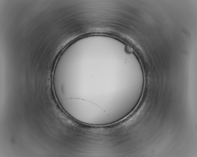 X0000111641025200907171034