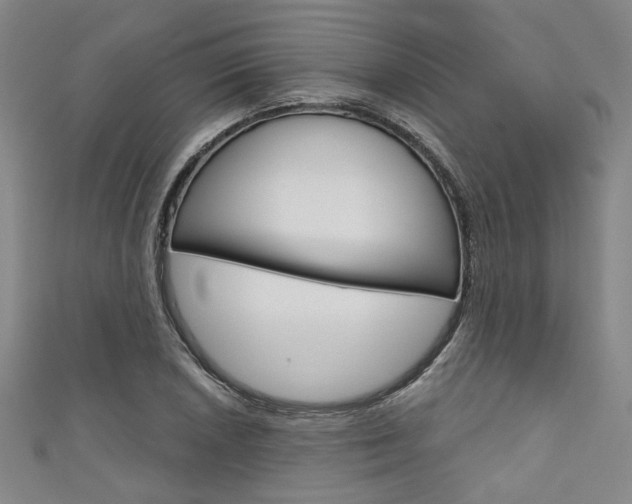X0000111641026200907171034