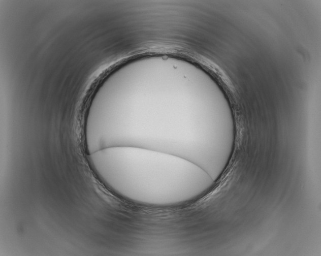 X0000111641027200907171034