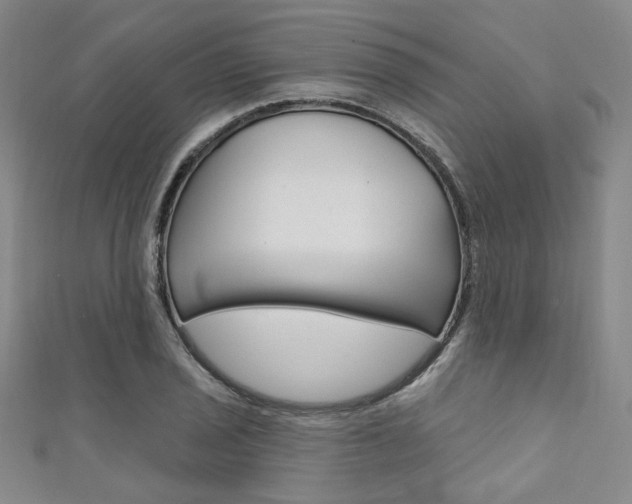 X0000111641029200907171034