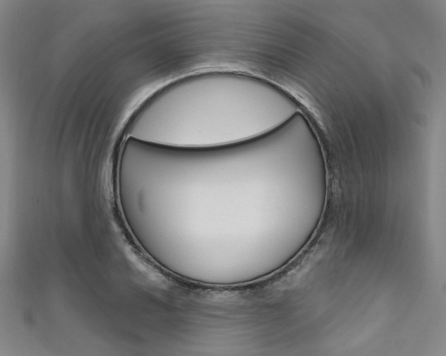X0000111641030200907171034