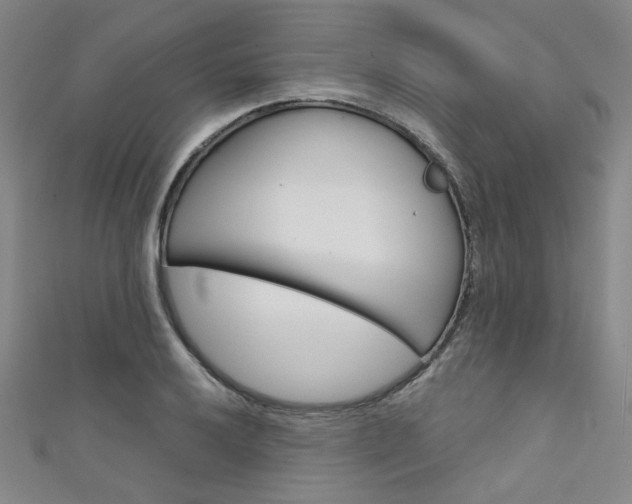 X0000111641032200907171034