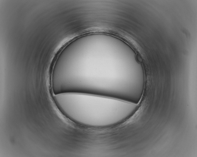 X0000111641034200907171034