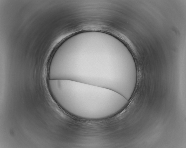 X0000111641035200907171034