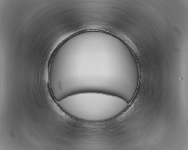X0000111641036200907171034