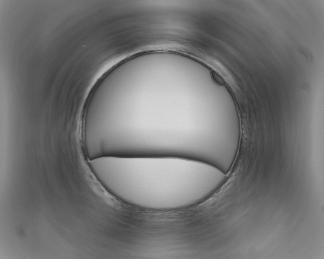 X0000111641044200907171034