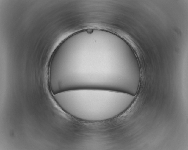 X0000111641048200907171034