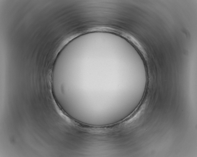X0000111641049200907171034
