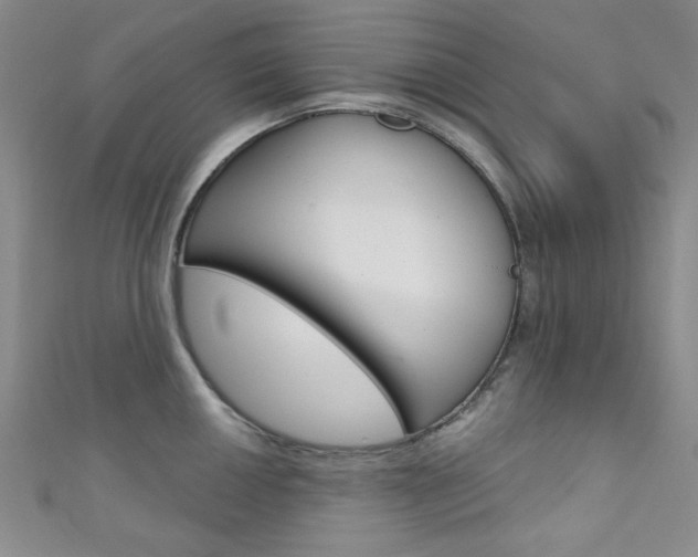 X0000111641050200907171034