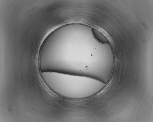 X0000111641052200907171034