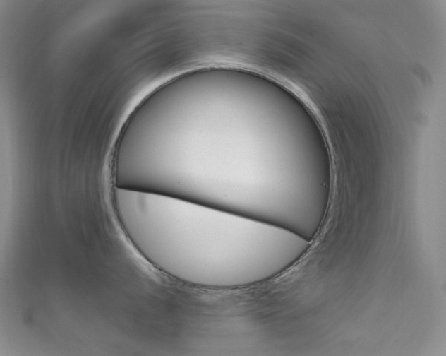 X0000111641056200907171034
