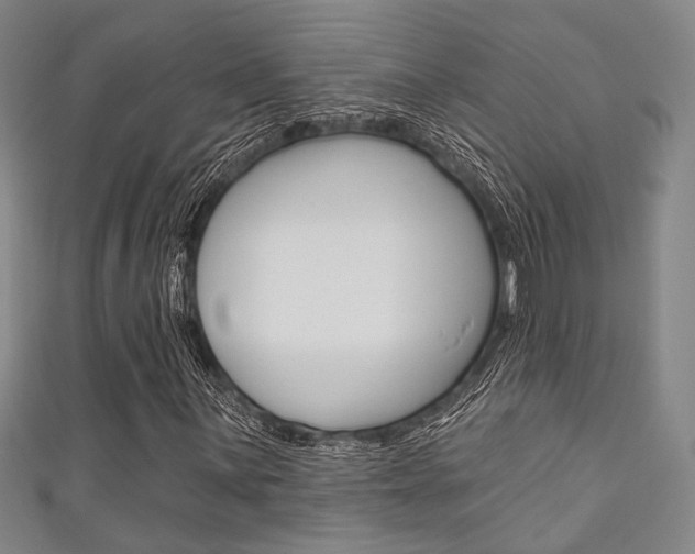 X0000111641059200907171033