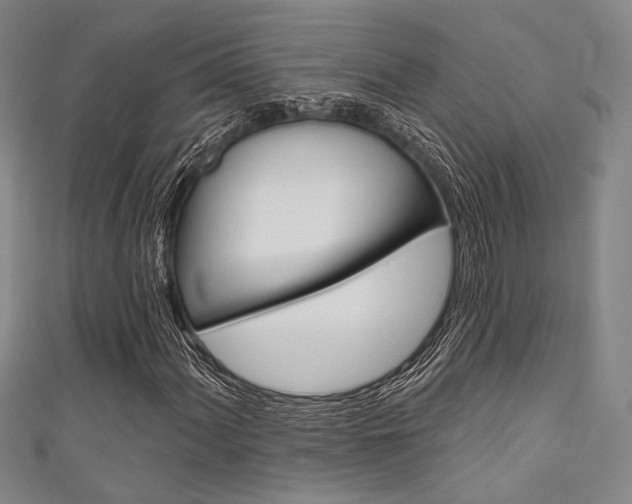 X0000111641060200907171033