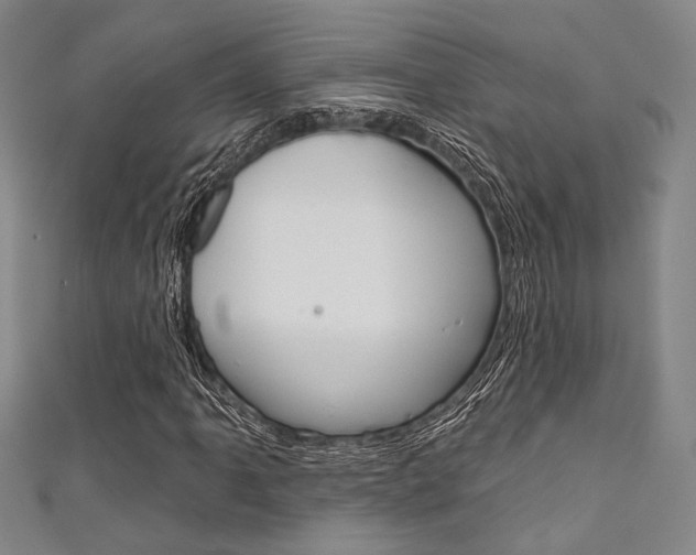 X0000111641061200907171033