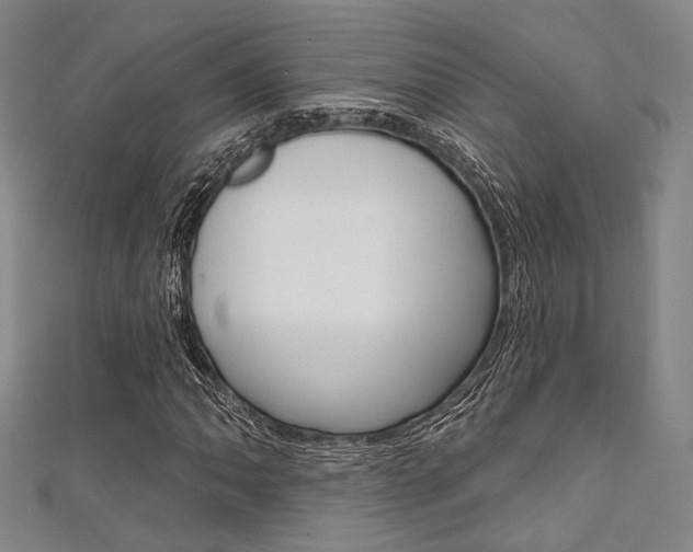 X0000111641062200907171033