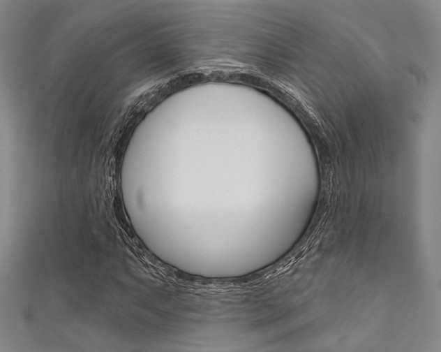 X0000111641063200907171033