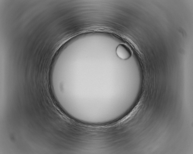 X0000111641065200907171033