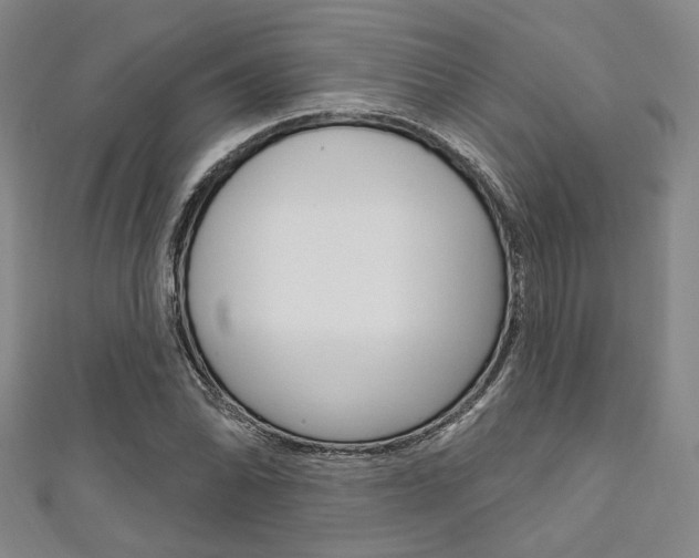 X0000111641070200907171033