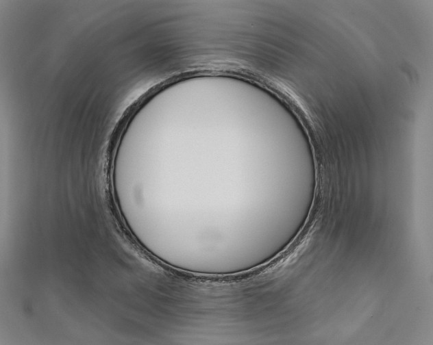 X0000111641071200907171033