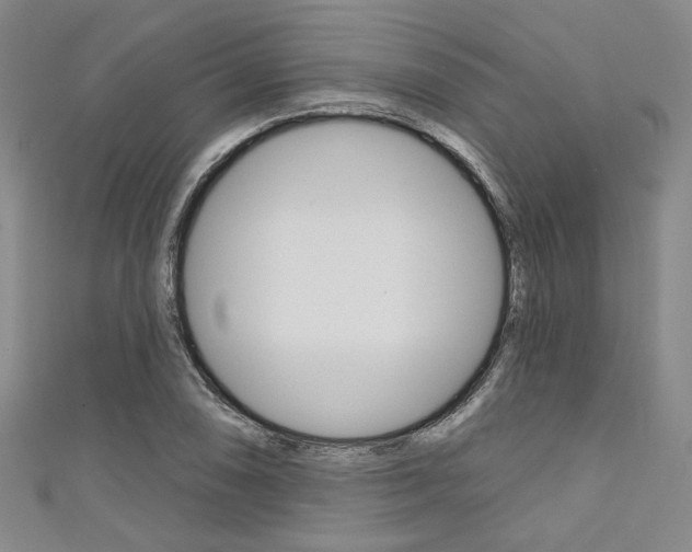 X0000111641074200907171033