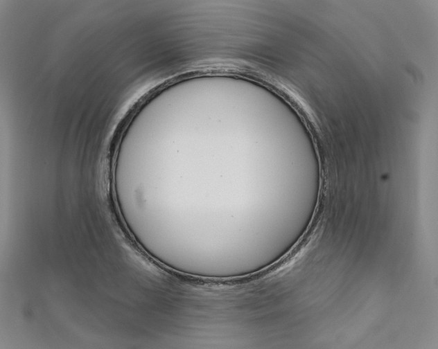 X0000111641075200907171033