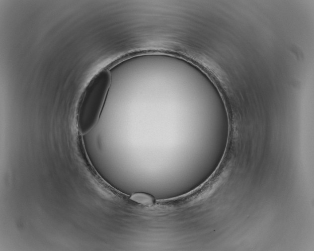 X0000111641077200907171033