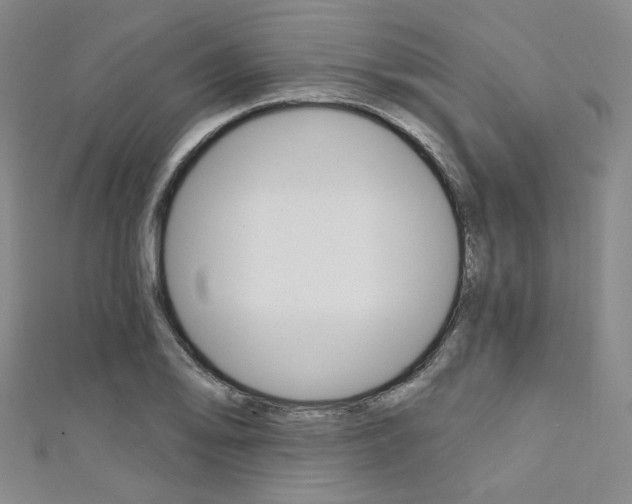 X0000111641078200907171033