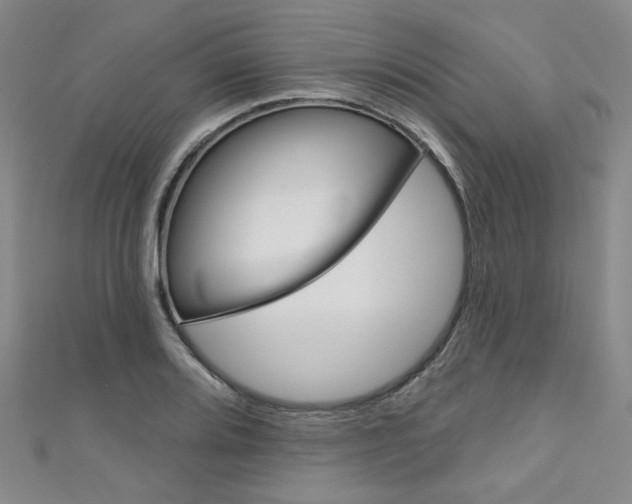 X0000111641080200907171033