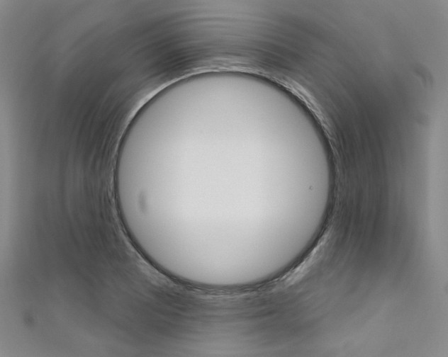 X0000111641081200907171033