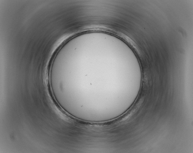 X0000111641082200907171033