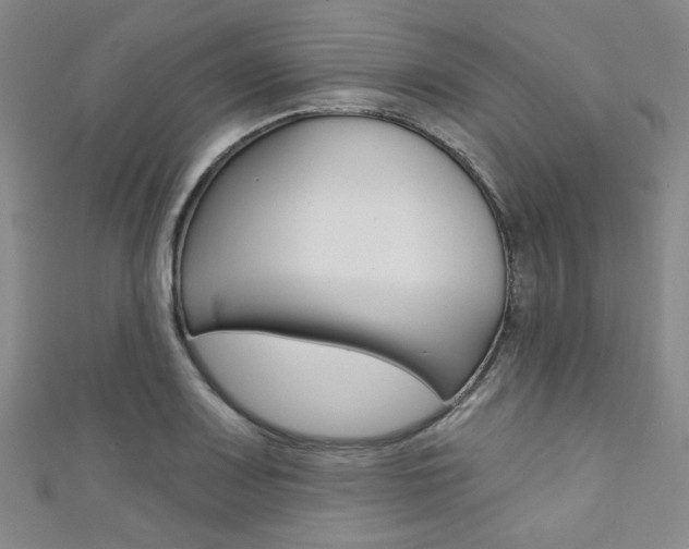 X0000111641083200907171033