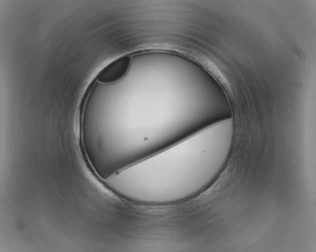 X0000111641084200907171033