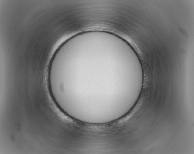 X0000111641086200907171033