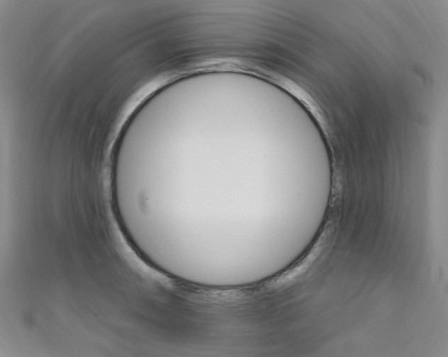 X0000111641090200907171033