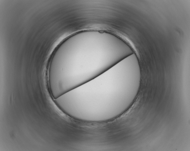 X0000111641091200907171033