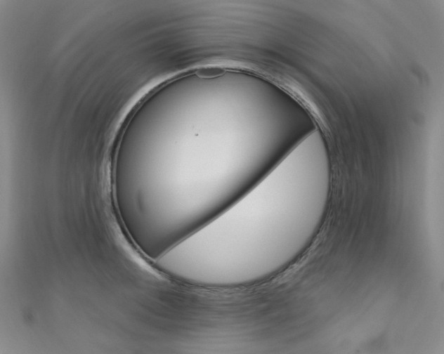 X0000111641092200907171033