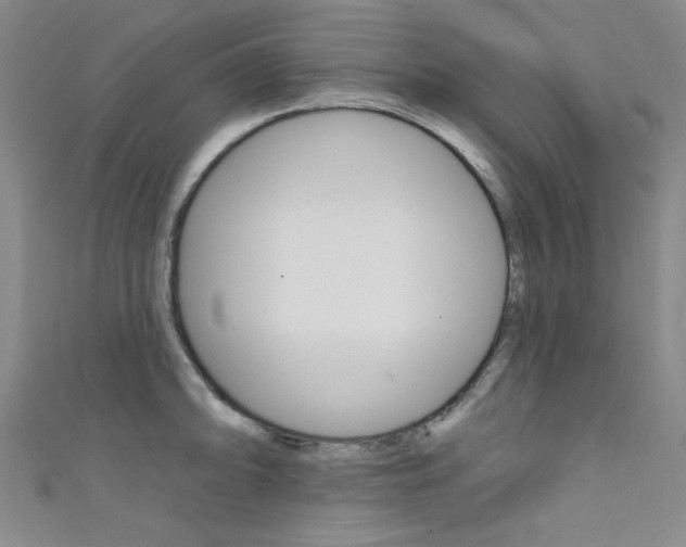 X0000111641094200907171033