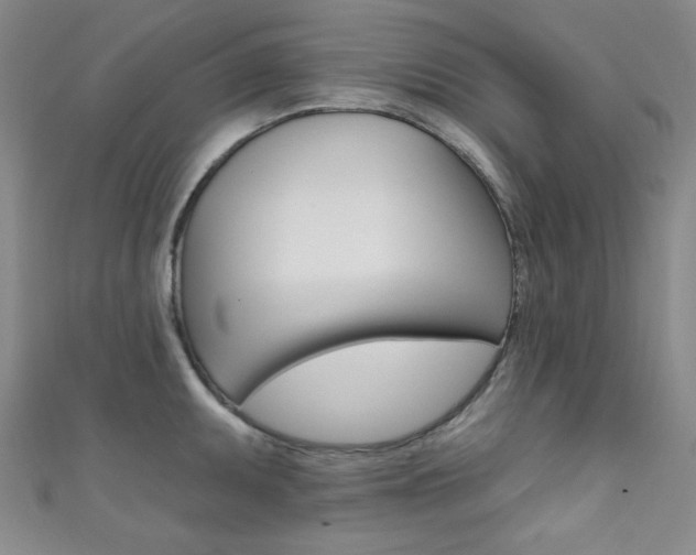 X0000111641095200907171033
