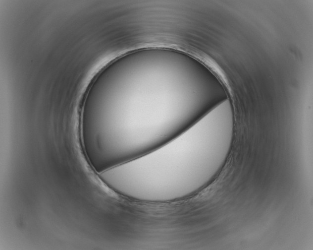 X0000111641096200907171033