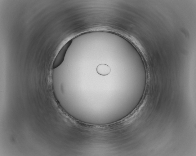 X0000111641097200907171033
