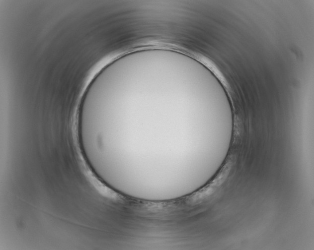 X0000111641098200907171033